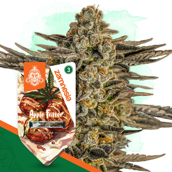 Apple Fritter (Zamnesia Seeds) feminizowane