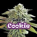Dark Cookie (Dr. Underground) feminizowane