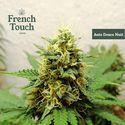 Auto Douce Nuit (French Touch Seeds) feminizowane