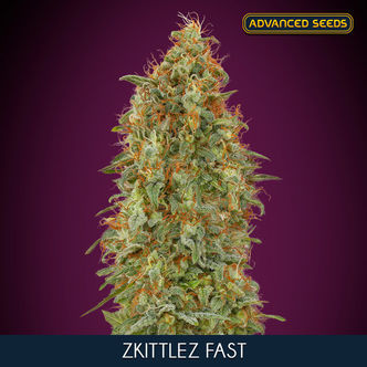 Zkittlez Fast (Advanced Seeds) feminizowane