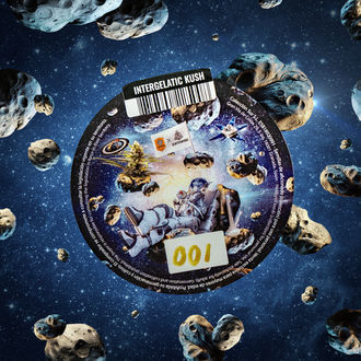 Intergalactic Kush (Kannabia x Zamnesia) feminizowane