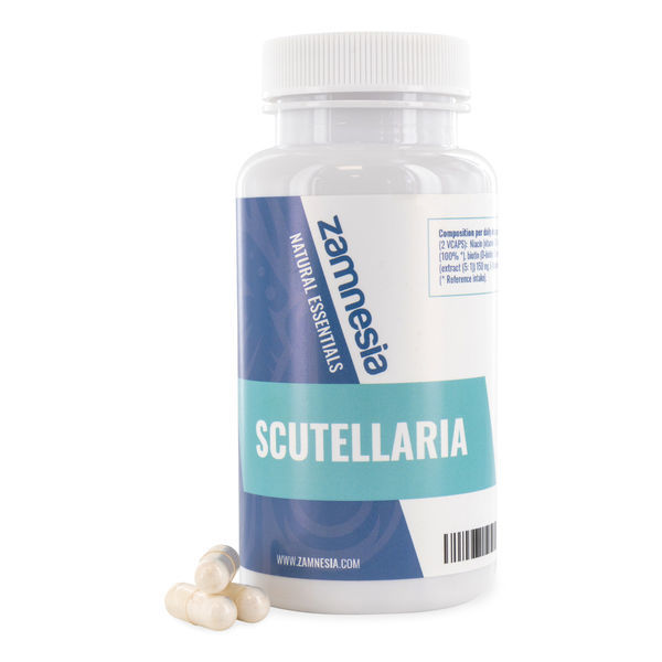 Tarczyca (Scutellaria)