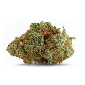 Naranja Biscotti Fast Version (Growers Choice) feminizowane
