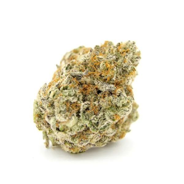 Forbidden Runtz (Growers Choice) feminizowane