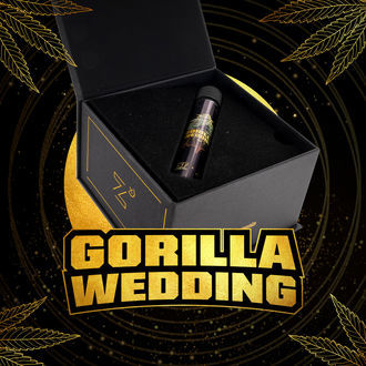 Gorilla Wedding (BSF Seeds x Zamnesia Seeds) feminizowane