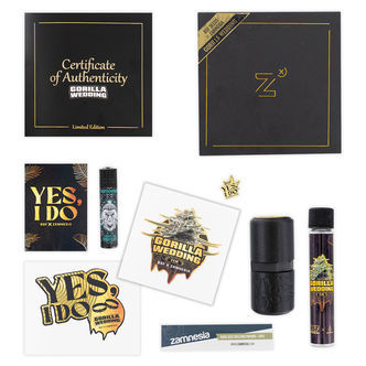 Gorilla Wedding (BSF Seeds x Zamnesia Seeds) feminizowane