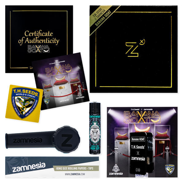 Banana GOAT (T.H. Seeds x Zamnesia Seeds) Nasiona marihuany feminizowane