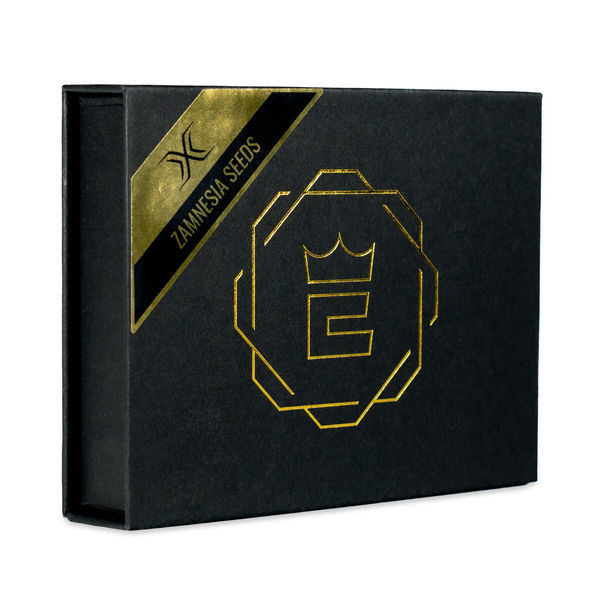 X (Zamnesia Seeds) Feminizowane