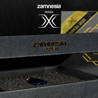 X (Zamnesia Seeds) Feminizowane