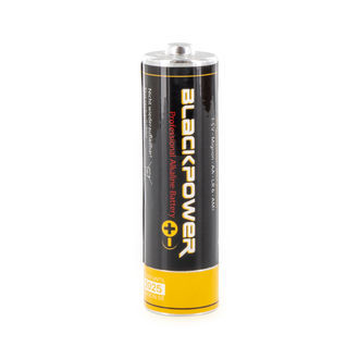 Pojemnik schowek w kształcie baterii