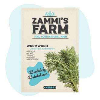 Nasiona piołunu (Artemisia absinthium)