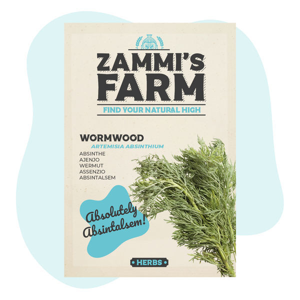 Nasiona piołunu (Artemisia absinthium)