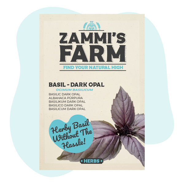 Bazylia 'Dark Opal' (Ocimum basilicum) – nasiona