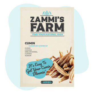 Nasiona kminu rzymskiego (Cuminum cyminum)