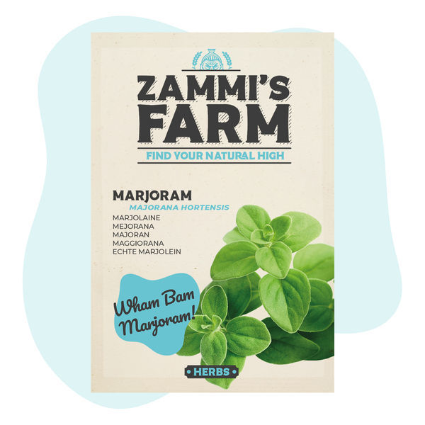 Nasiona majeranku (Majorana hortensis)