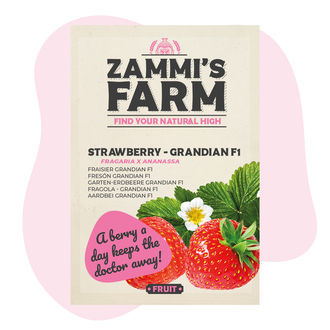 Nasiona Grandian Strawberry F1 (Fragaria x ananassa)