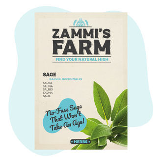 Nasiona szałwii lekarskiej (Salvia officinalis)