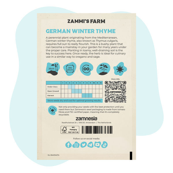 Nasiona tymianku zimowego niemieckiego (Thymus vulgaris)