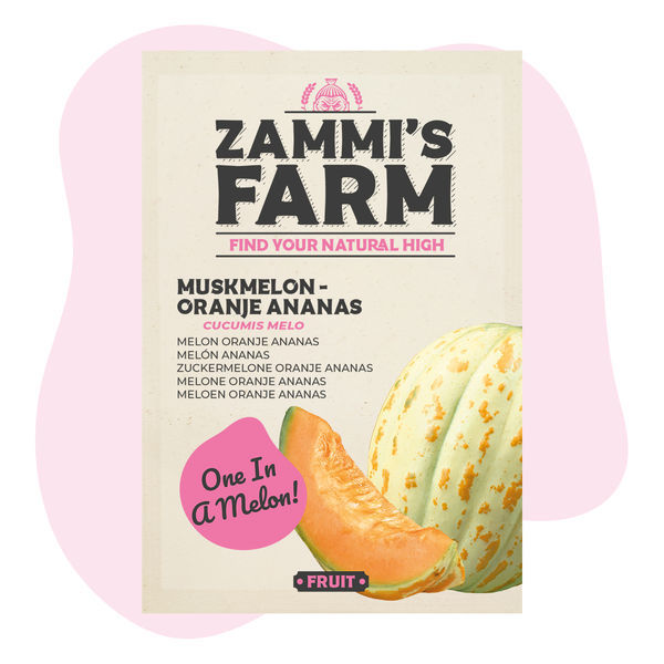 Nasiona melona cukrowego 'Oranje Ananas' (Cucumis melo)