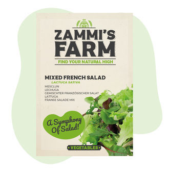 Nasiona sałaty mieszanej francuskiej (Lactuca sativa)