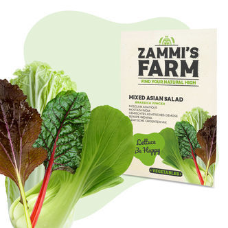 Mieszanka azjatyckich liści sałatkowych – nasiona