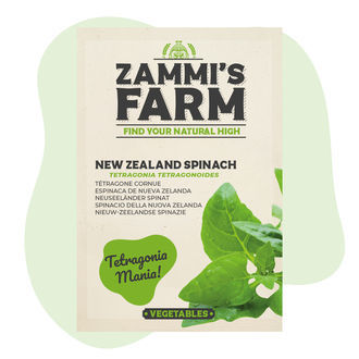 Nasiona szpinaku nowozelandzkiego (Tetragonia tetragonoides)