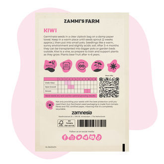 Nasiona kiwi (Actinidia deliciosa)