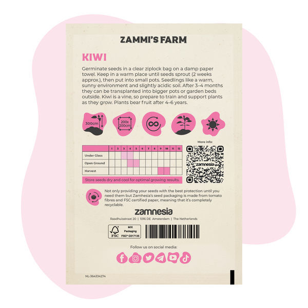 Nasiona kiwi (Actinidia deliciosa)