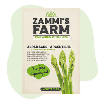 Nasiona szparaga lekarskiego 'Argenteuil' (Asparagus officinalis)
