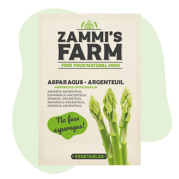 Nasiona szparaga lekarskiego 'Argenteuil' (Asparagus officinalis)