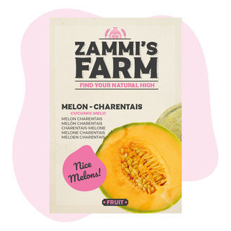 Nasiona melona 'Charentais' (Cucumis melo)