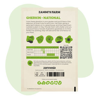 Nasiona ogórka konserwowego „National” (Cucumis sativus)