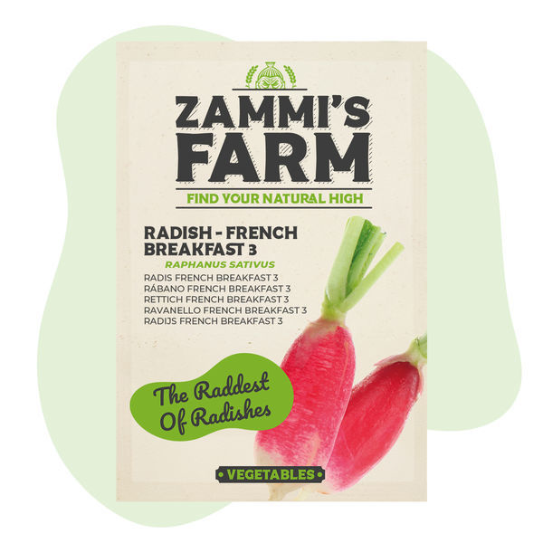 Rzodkiewka „French Breakfast 3” (Raphanus sativus) – nasiona