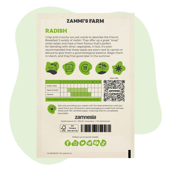 Rzodkiewka „French Breakfast 3” (Raphanus sativus) – nasiona