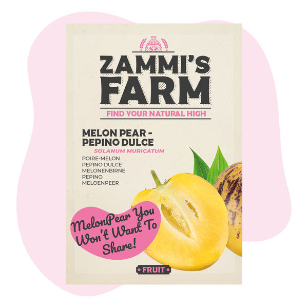 Nasiona pepino (Solanum muricatum)