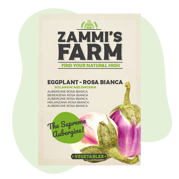 Bakłażan 'Rosa Bianca' (Solanum melongena) – nasiona