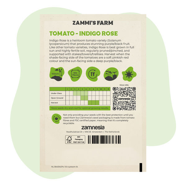 Nasiona pomidora Indigo Rose (Solanum lycopersicum)