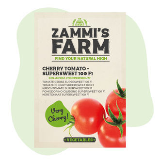 Nasiona pomidora koktajlowego 'Supersweet 100 F1' (Solanum lycopersicum)