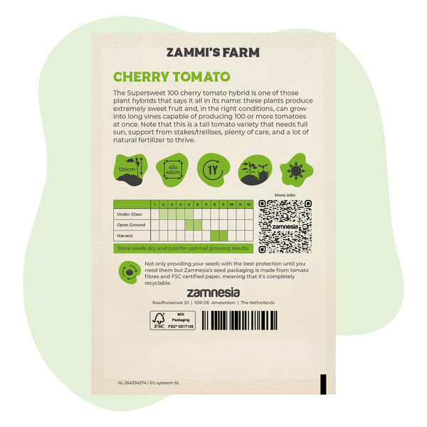 Nasiona pomidora koktajlowego 'Supersweet 100 F1' (Solanum lycopersicum)