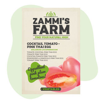 Nasiona pomidora koktajlowego „Thai Pink Egg” (Solanum lycopersicum)