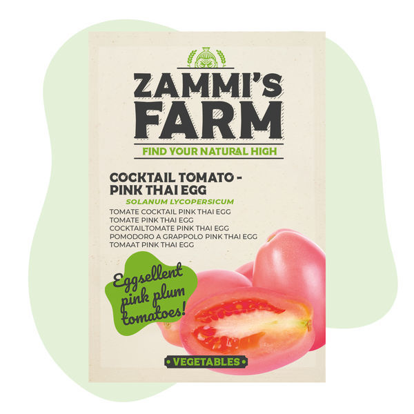 Nasiona pomidora koktajlowego „Thai Pink Egg” (Solanum lycopersicum)