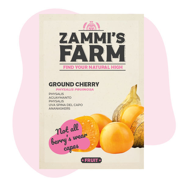 Nasiona miechunki peruwiańskiej (Physalis peruviana)