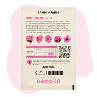 Nasiona miechunki peruwiańskiej (Physalis peruviana)