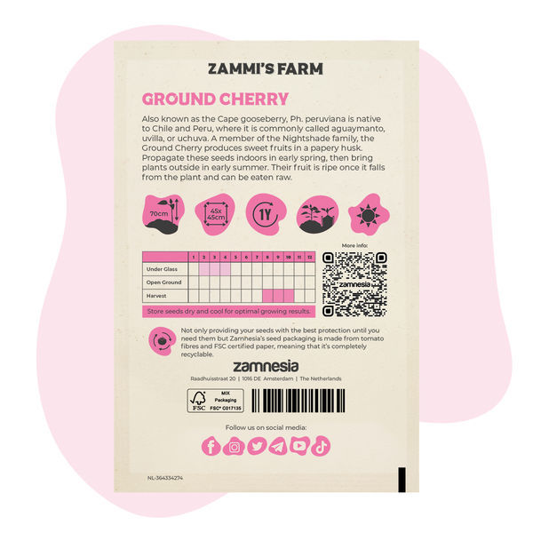 Nasiona miechunki peruwiańskiej (Physalis peruviana)