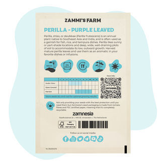 Nasiona perilli purpurowej (Perilla frutescens)