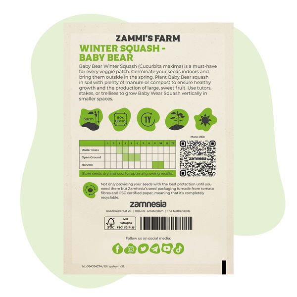 Nasiona dyni zimowej Baby Bear (Cucurbita maxima)