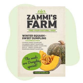 Dynia zimowa Sweet Dumpling (Cucurbita pepo) – nasiona