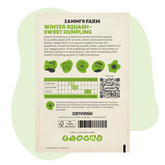 Dynia zimowa Sweet Dumpling (Cucurbita pepo) – nasiona