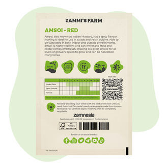 Nasiona amsoi czerwonej (Brassica juncea var. rugosa)