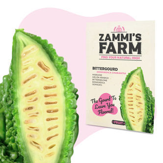 Nasiona gorzkiego melona (Momordica charantia)